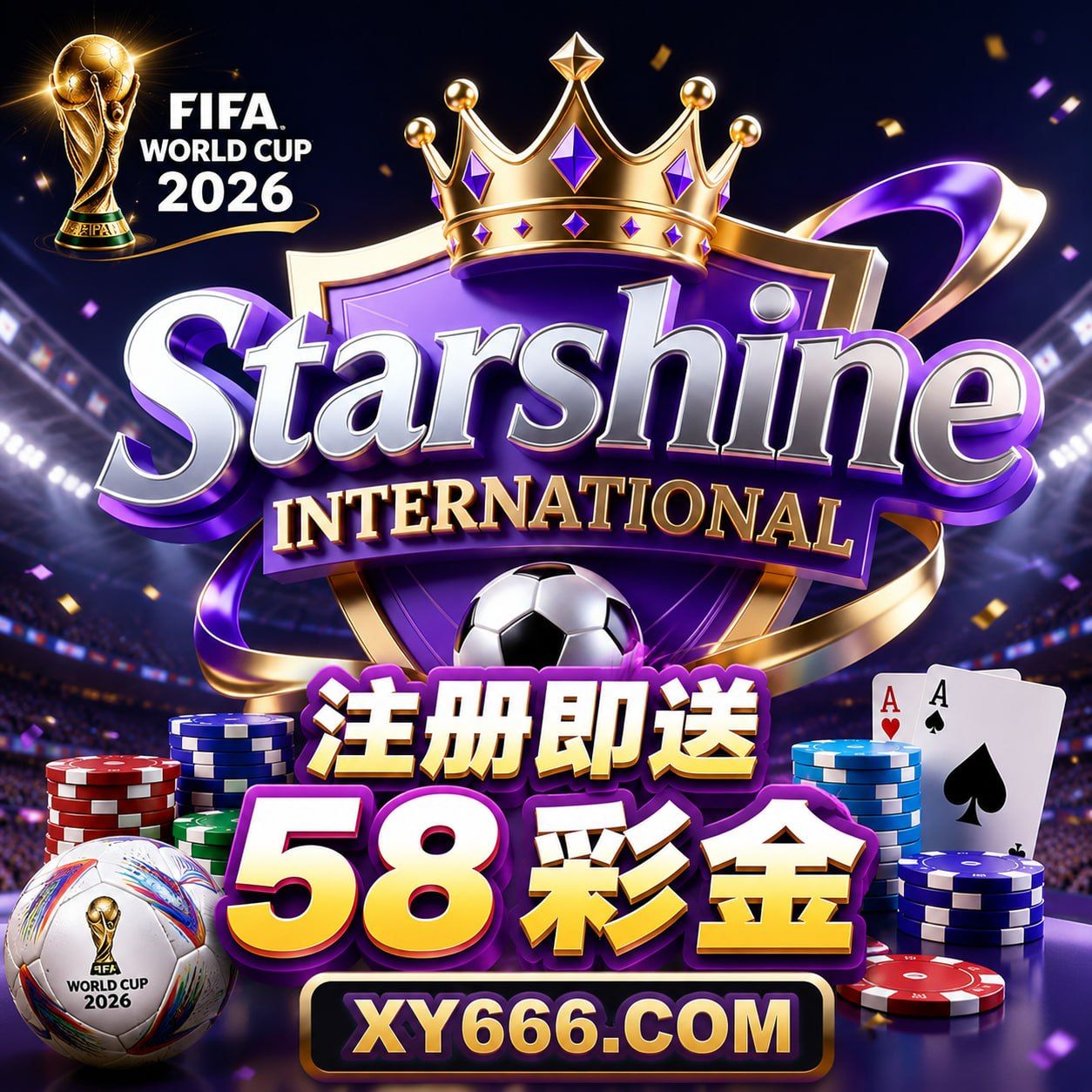 星耀国际